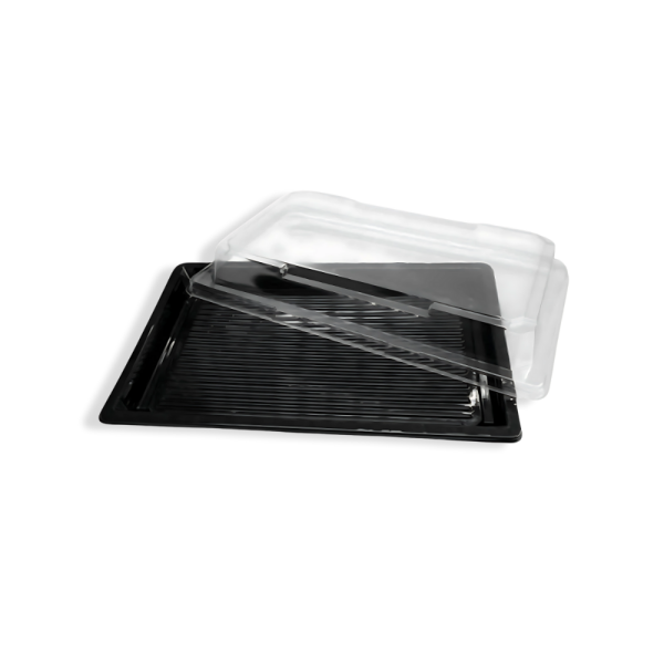 PET Sushi-Box Family 2 (414), schwarz