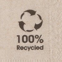 Servietten 20x20cm, 2-lagig, 1/4 Falz, Kraft-Braun