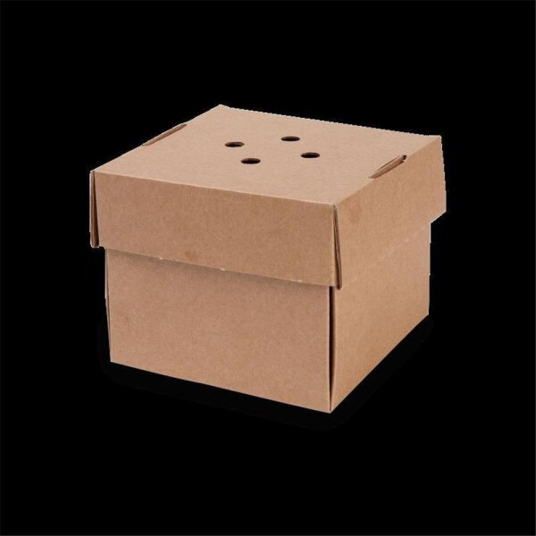 BIO Papp-Burger-Box, faltbar, 130x130x100mm, kraftbraun