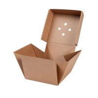 BIO Papp-Burger-Box, faltbar, 130x130x100mm, kraftbraun