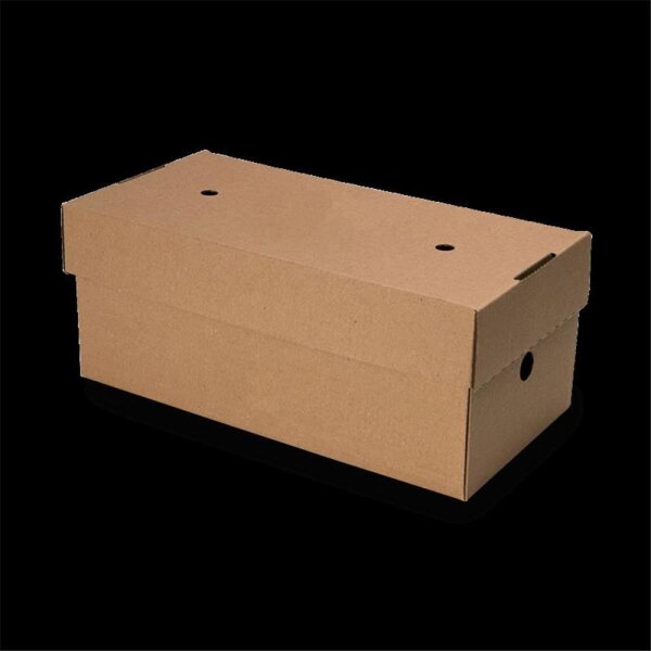 BIO Papp-Doppel-Burger-Box, faltbar, 244x122x102mm, kraftbraun